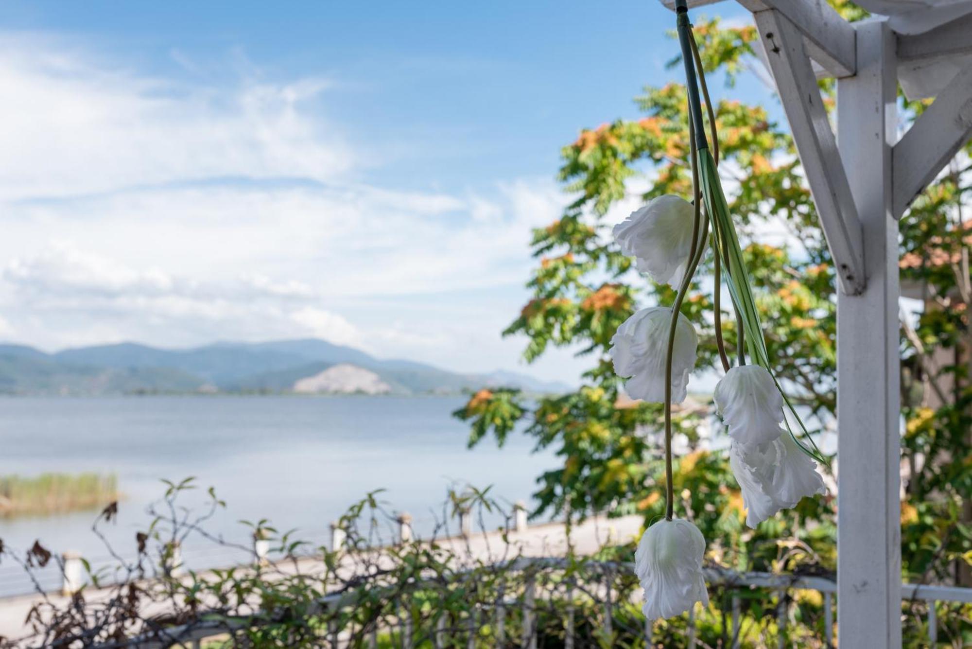 Hotel Butterfly ตอร์เร เดล ลาโกปุชชีนี ภายนอก รูปภาพ